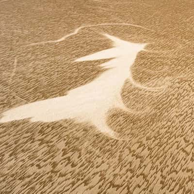 Kati Thanda-Lake Eyre. Witch or Fox?, Australia