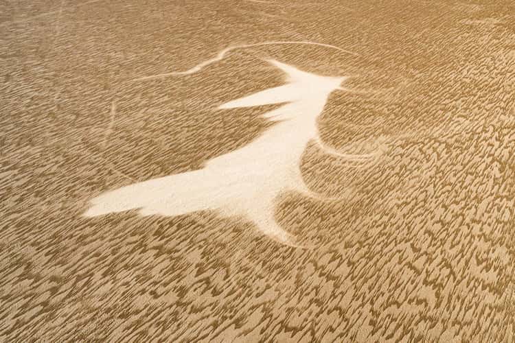 Kati Thanda-Lake Eyre. Witch or Fox?