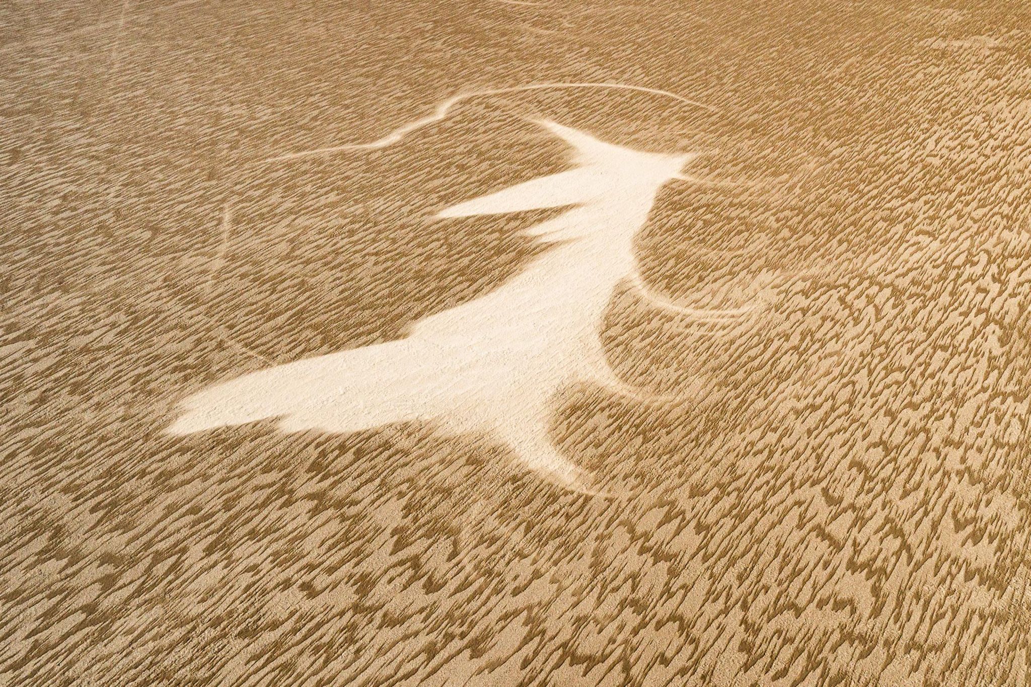 Kati Thanda-Lake Eyre. Witch or Fox?, Australia