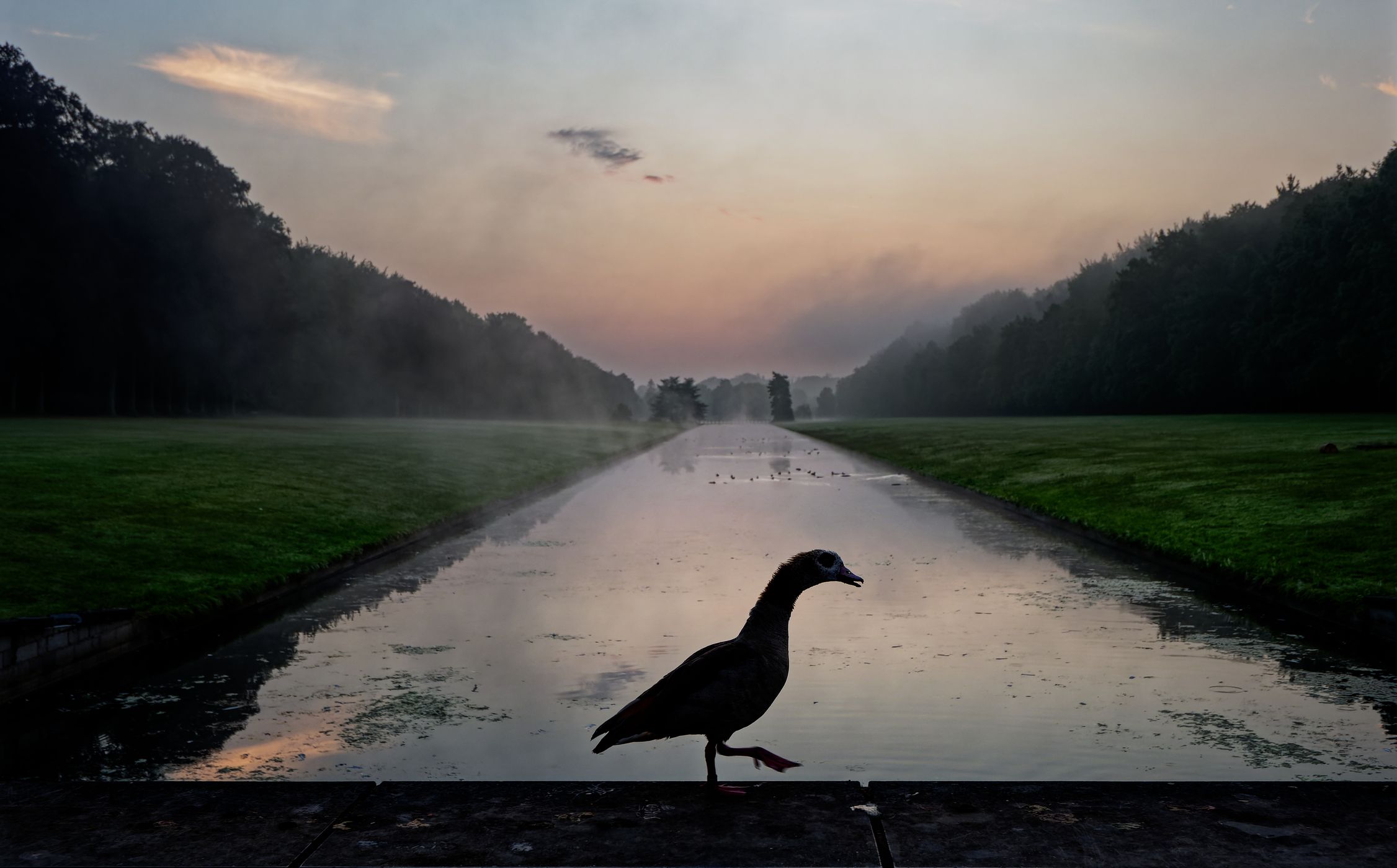 Lake Tervuren, Belgium