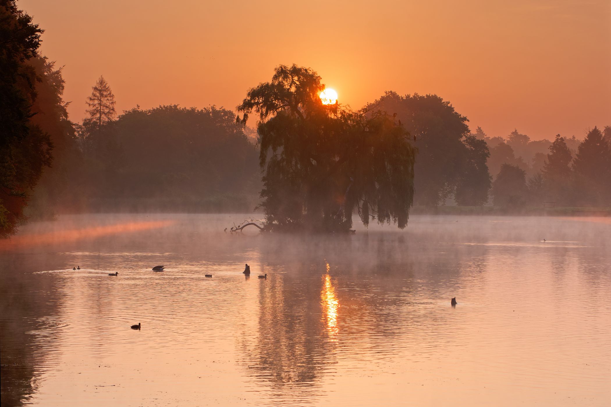 Lake Tervuren, Belgium