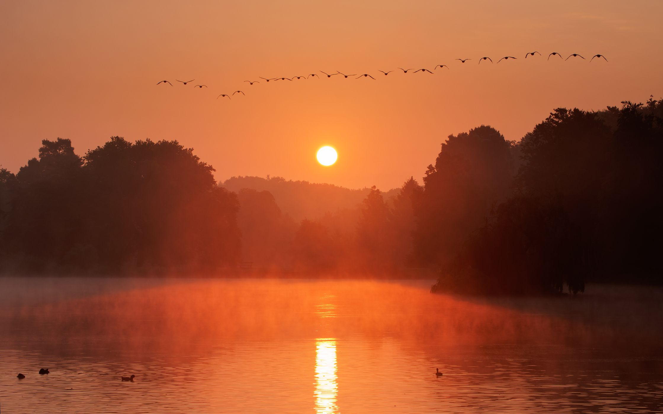 Lake Tervuren, Belgium