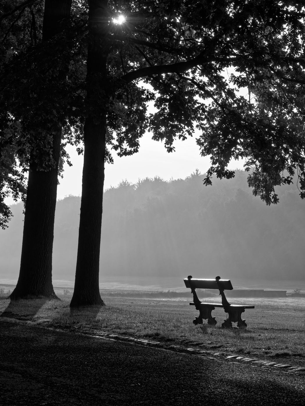 Lake Tervuren, Belgium