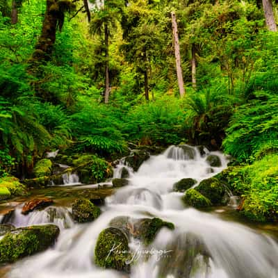 Mineral Creek Falls, USA