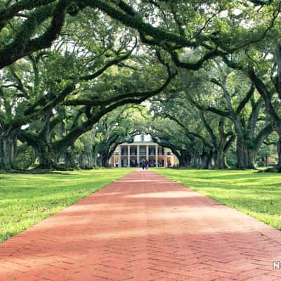 Oak Alley Plantation, Louisiana, USA