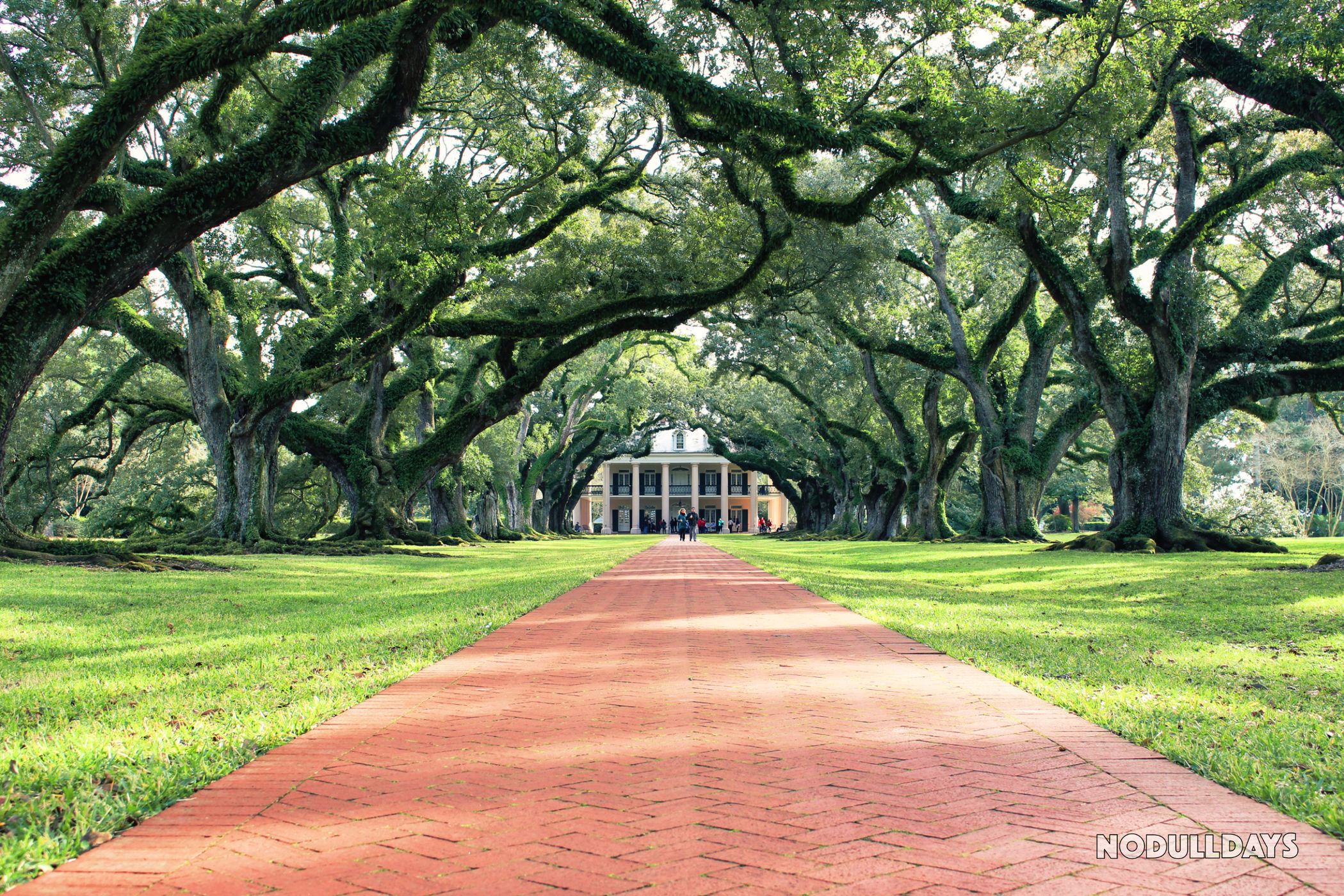 Oak Alley Plantation, Louisiana, USA