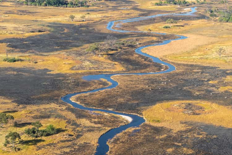 Okavango fields