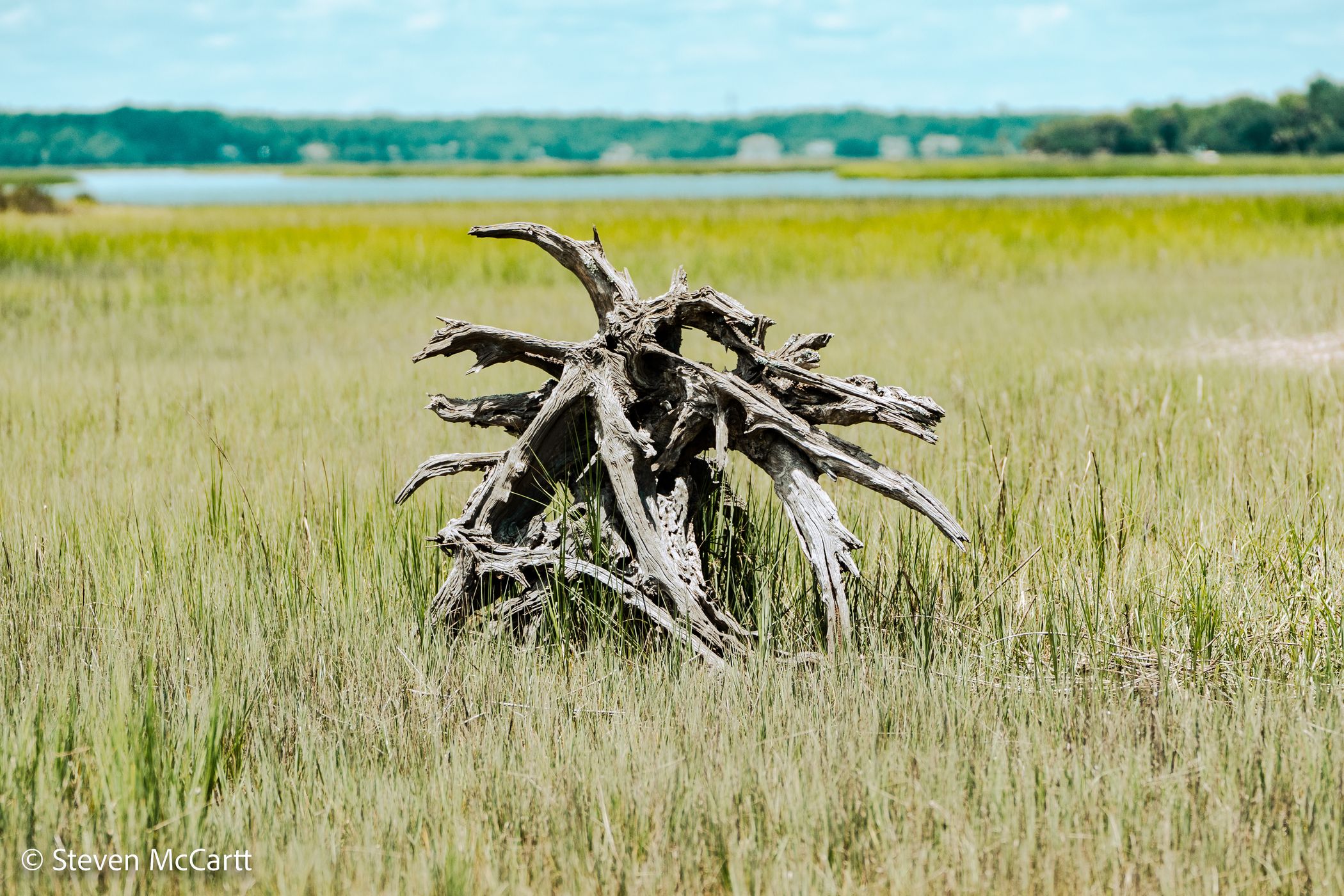 Pinckney Island National Wildlife Refuge, USA