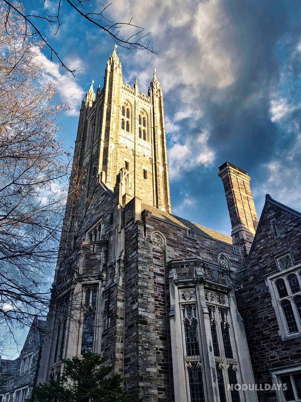 Princeton University, USA