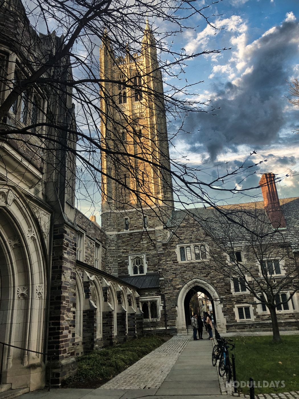 Princeton University, USA