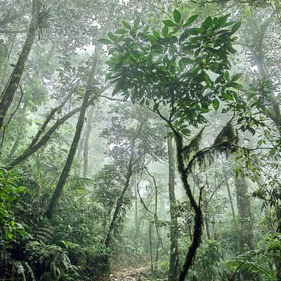 Rio Celeste Nationalparc, Costa Rica, Costa Rica