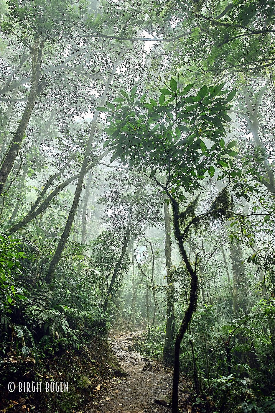 Rio Celeste Nationalparc, Costa Rica, Costa Rica