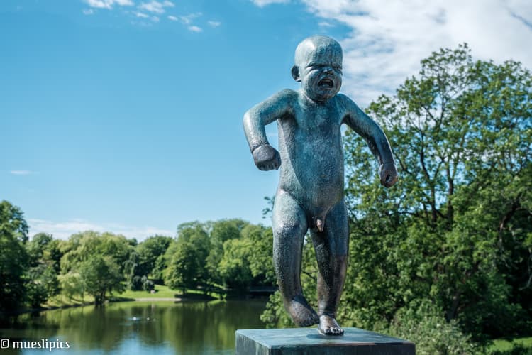 Sinnataggen - der kleine Trotzkopf