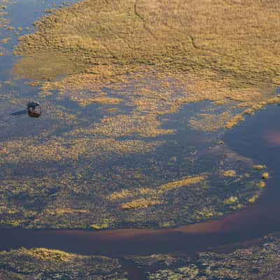 Solitary elephant in the pools, Botswana