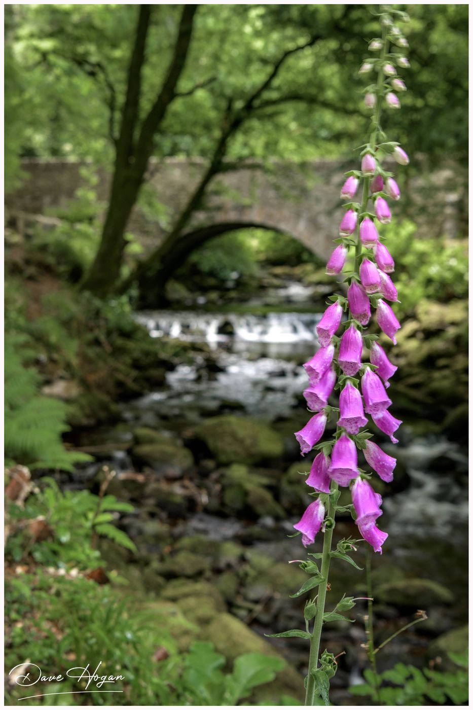 Torc Waterfall, Ireland