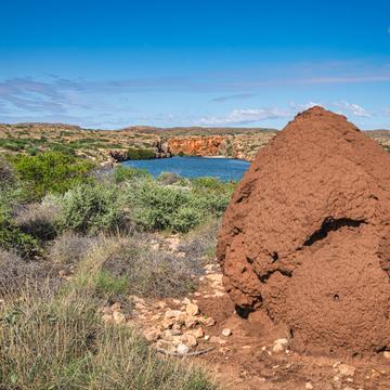Termite mound, Yardie Creek, Western Australia, Australia