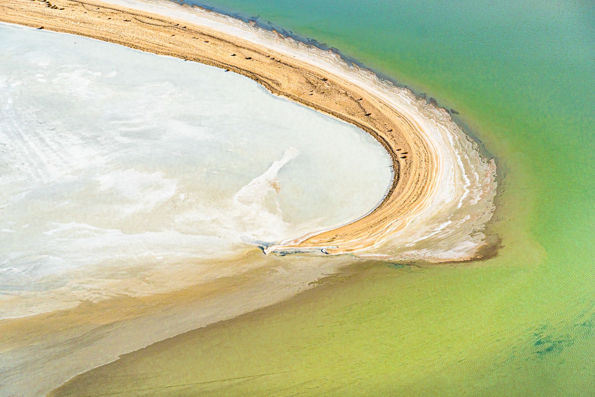 The Kangaroo Tail, Australia