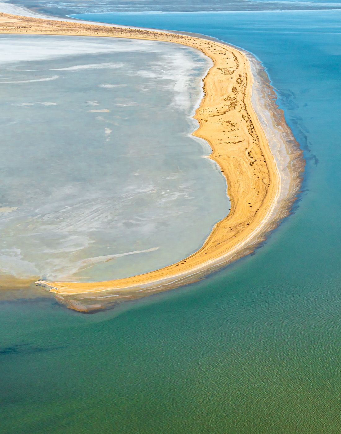 The Kangaroo Tail, Australia
