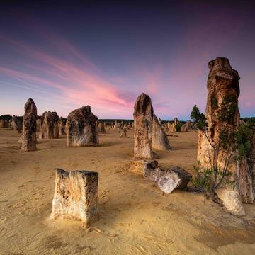 The Pinnacles, Cervantes, Western Australia, Australia