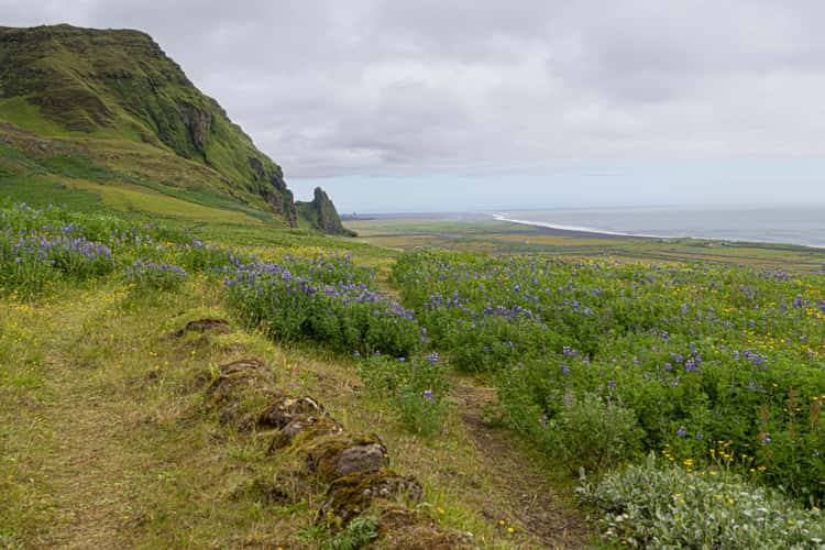 Vik i Myrdal