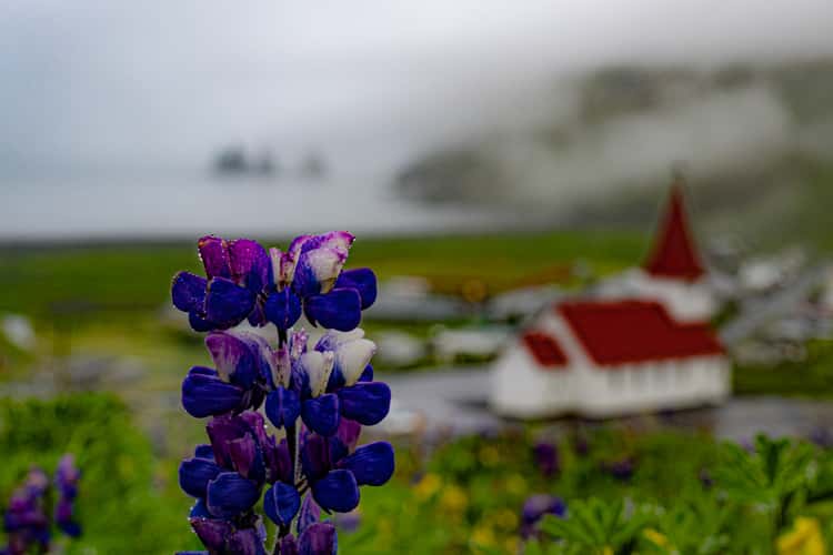 Vik i Myrdal