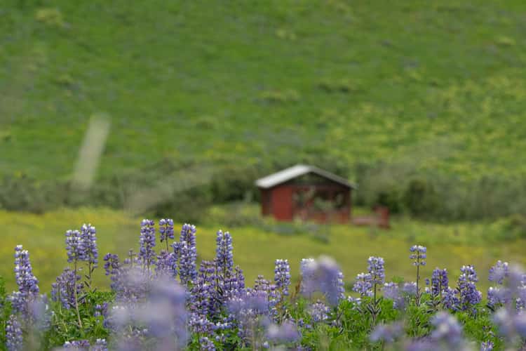 Vik i Myrdal