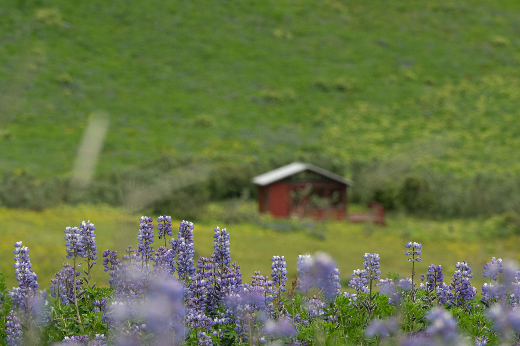 Vik i Myrdal, Iceland