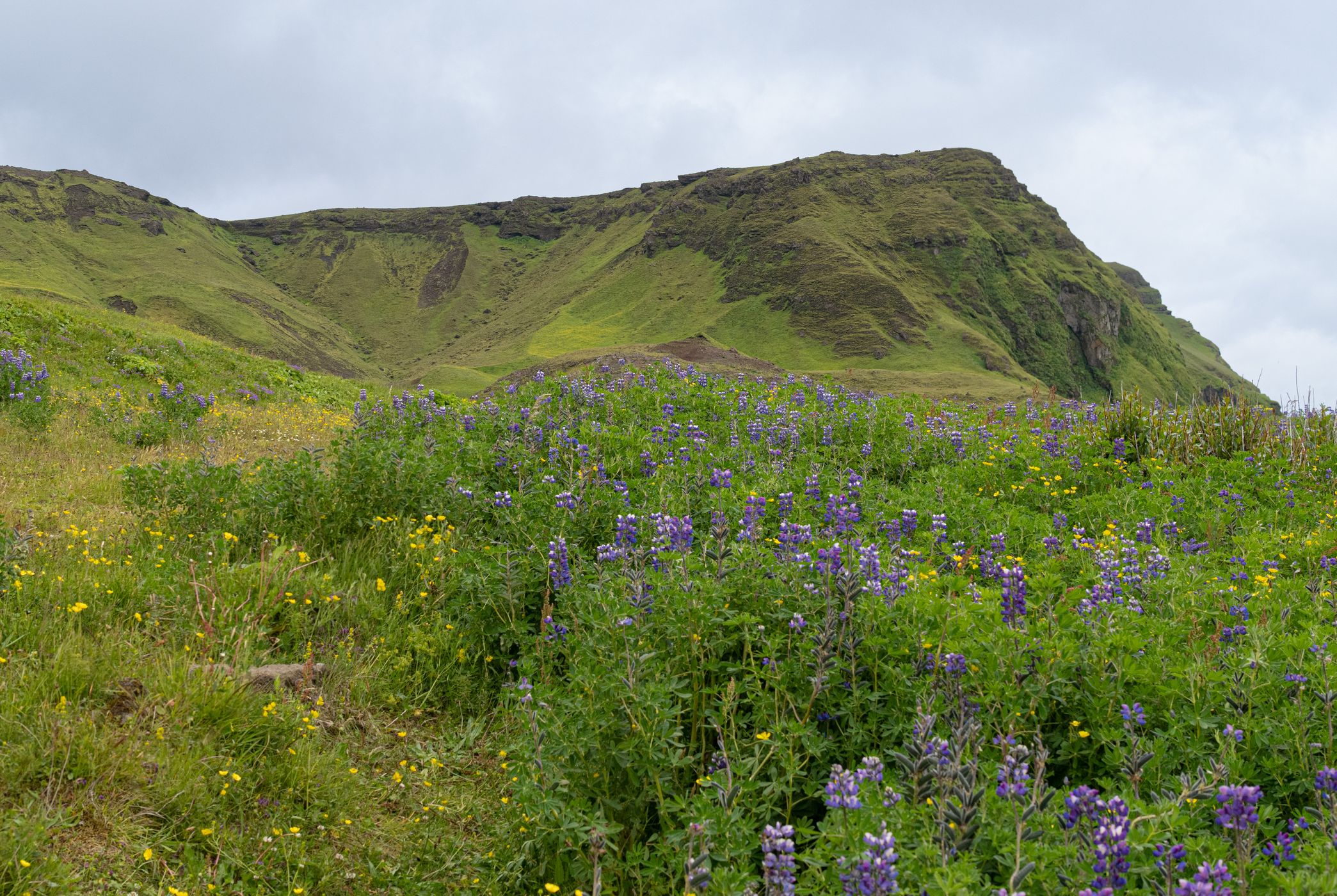 Vik i Myrdal, Iceland