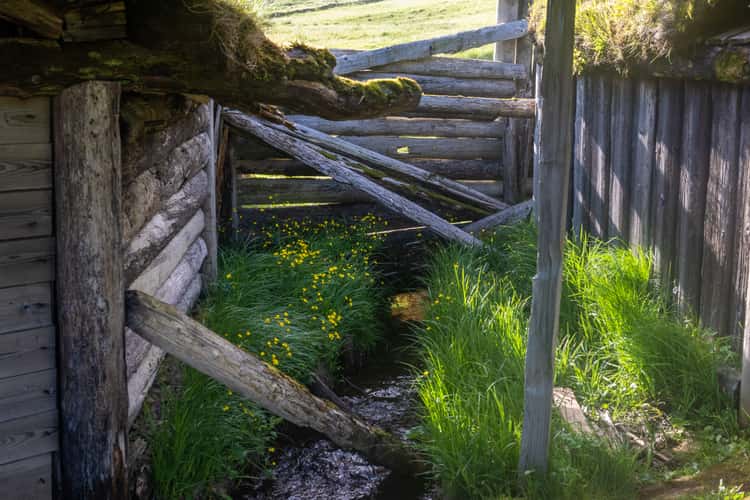 Viking Village