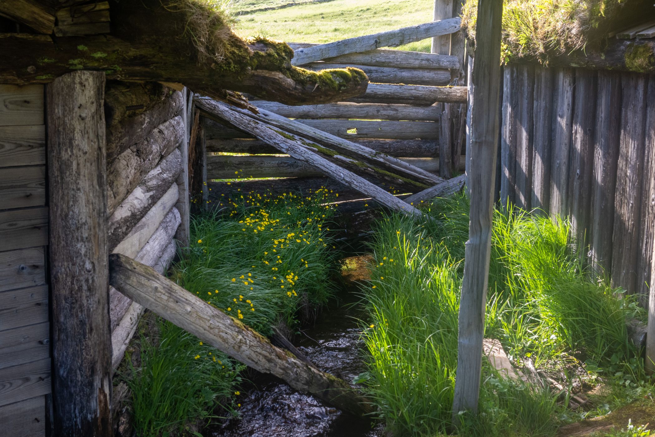 Viking Village, Iceland