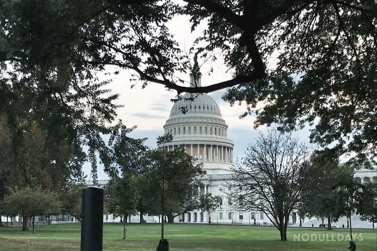 Washington DC
