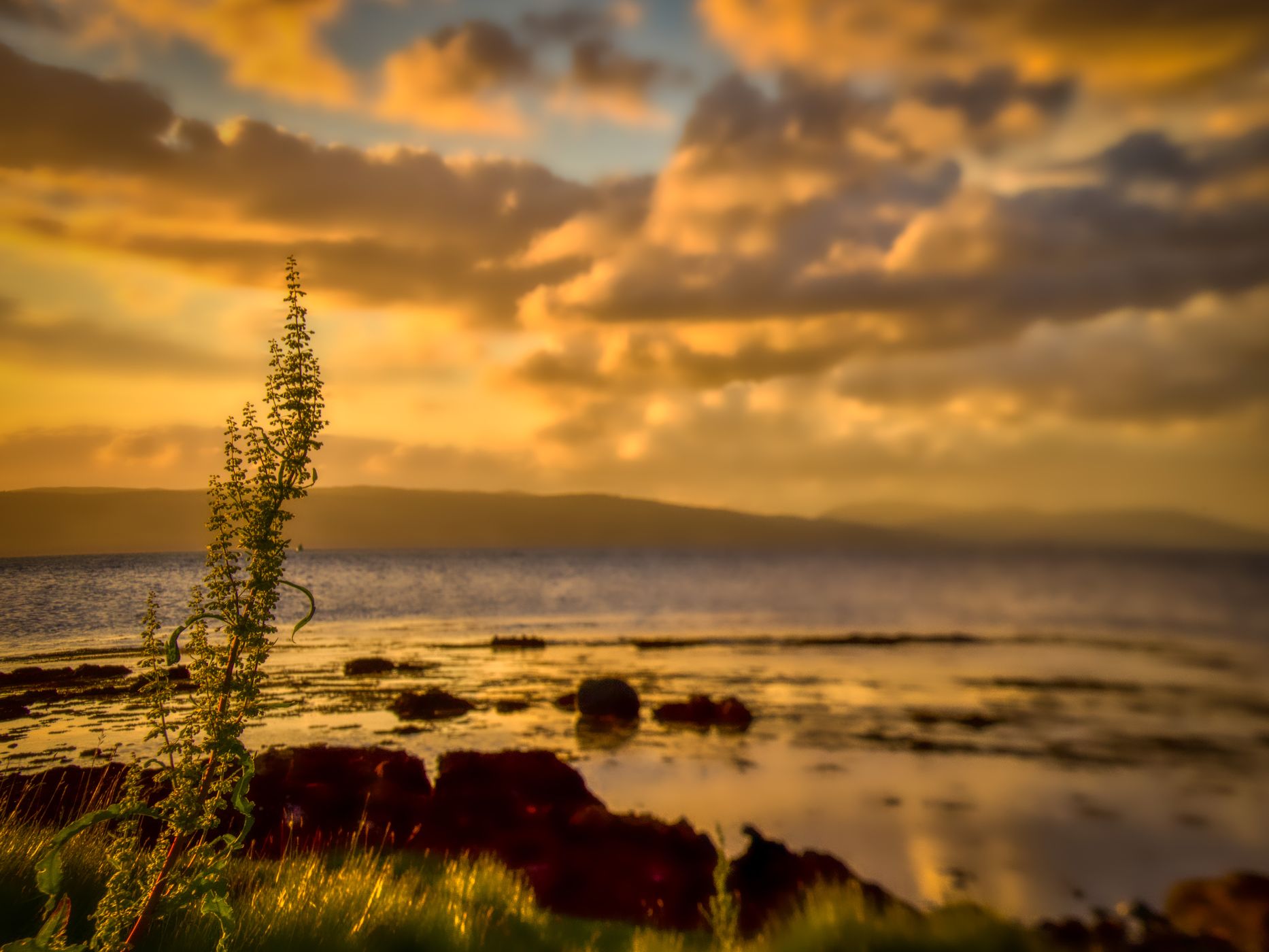 Wine Bay Cumbrae., United Kingdom