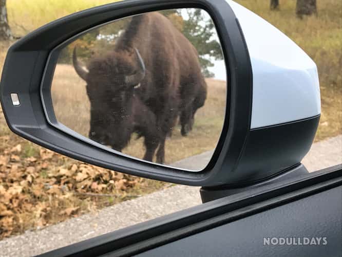 Woolaroc Wildlife Preserve