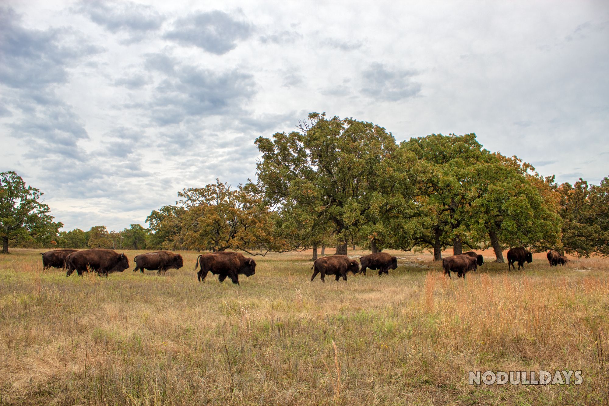 Woolaroc Wildlife Preserve, USA