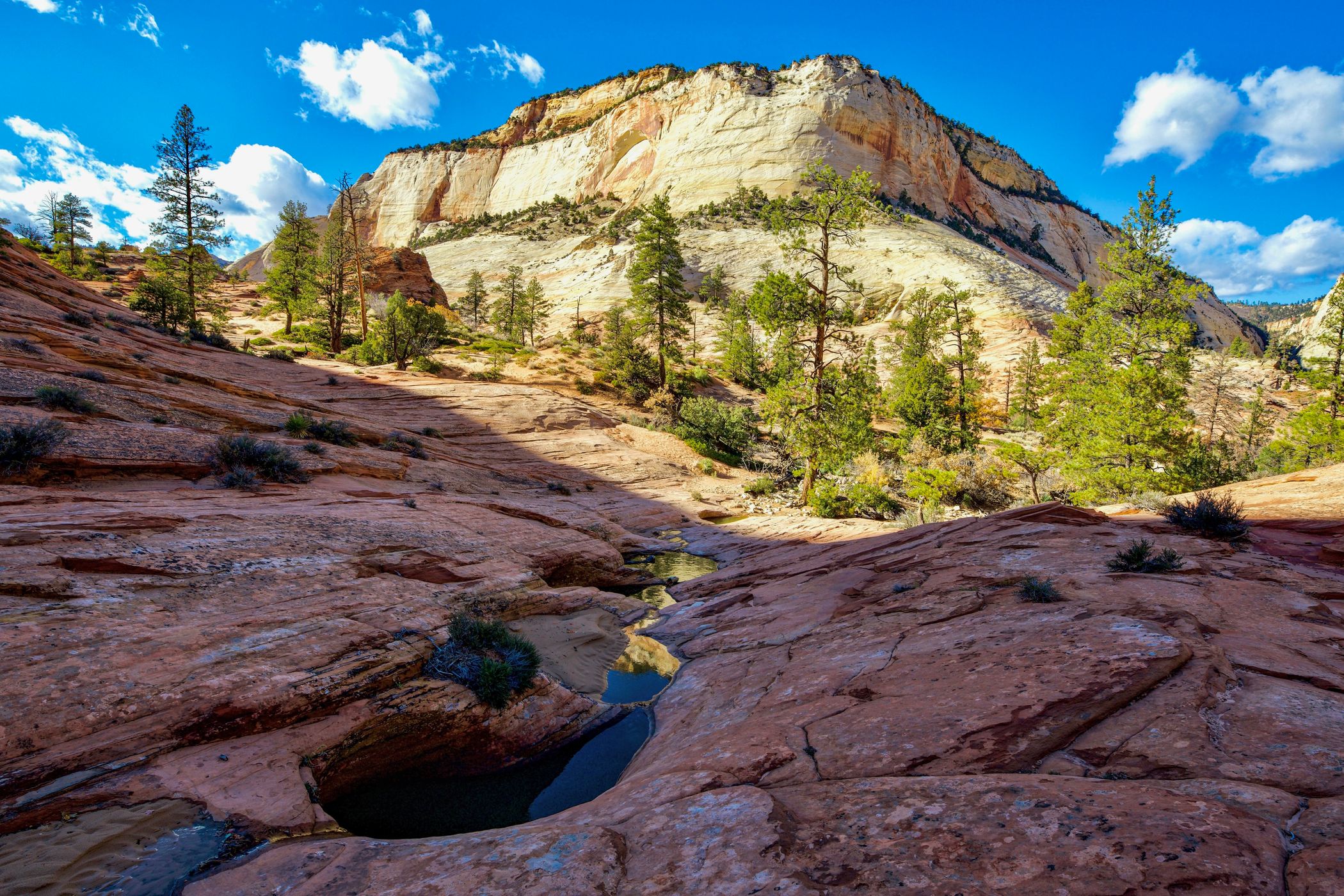 Zion Waterpockets, USA
