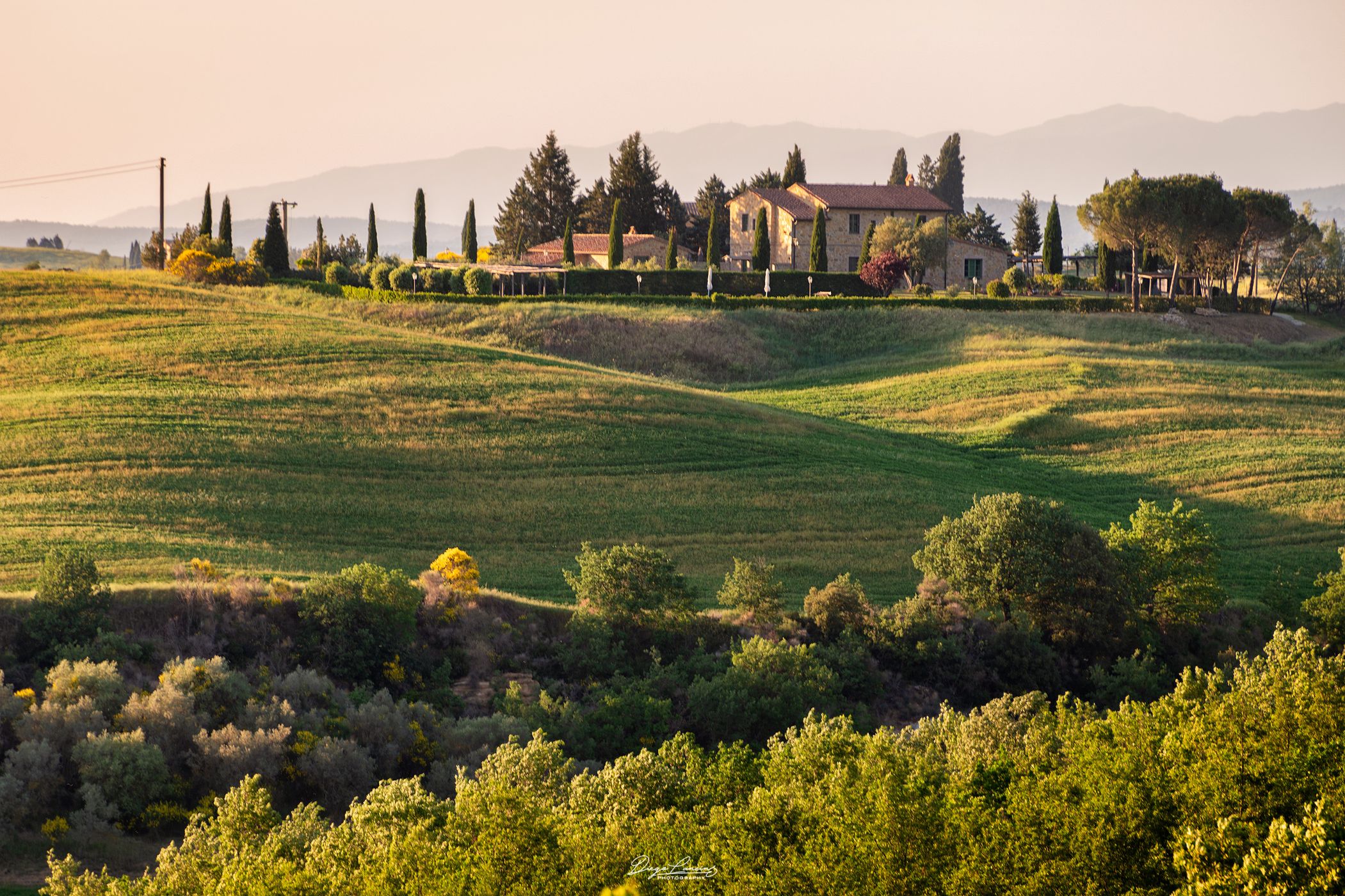 A nice knoll in Val d'Orcia, Italy