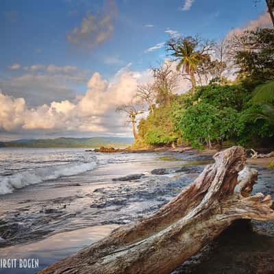 Beach in Corcovado Nationalparc, Costa Rica