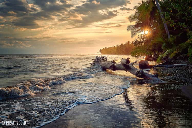 Beach of Marino Ballena Nationalpark