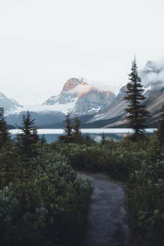 Bow Lake trail, Banff Nationalpark