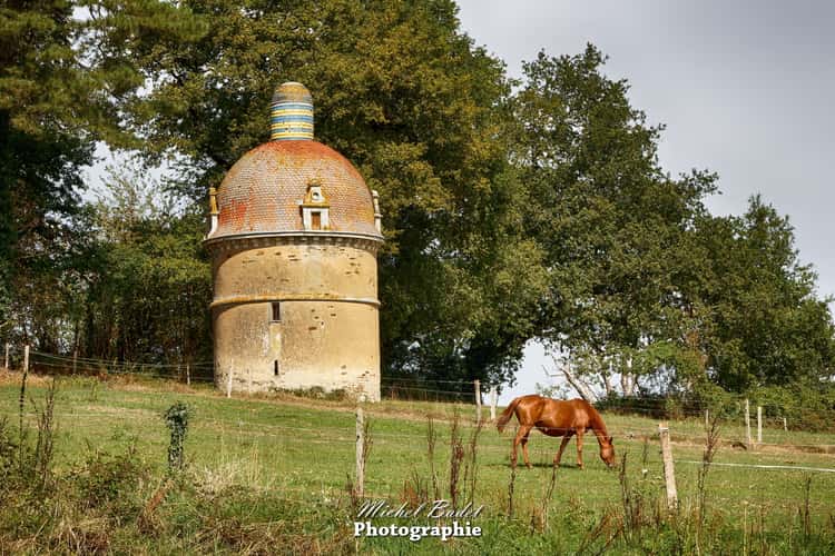Castle of La Gascherie