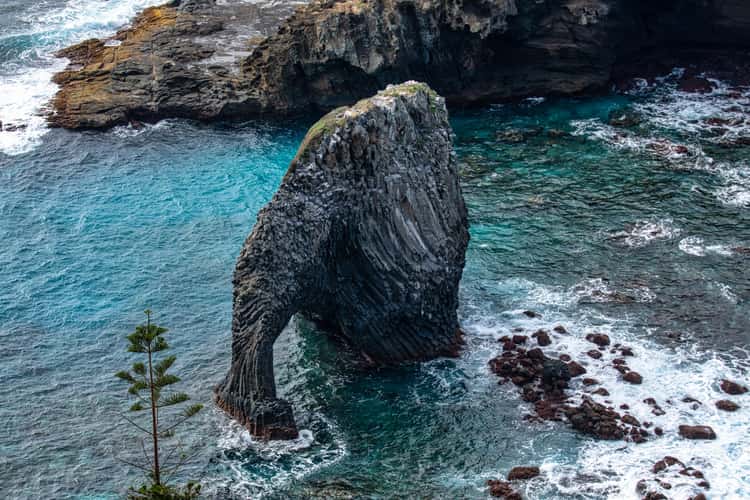 Elephant Rock Sunrise Norfolk Island