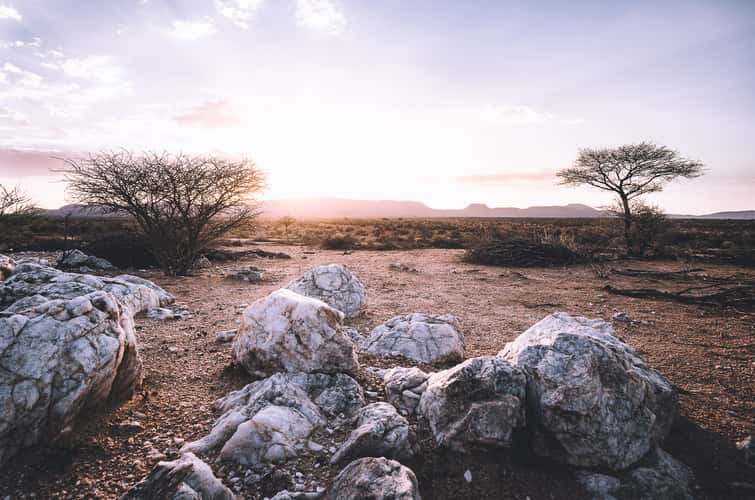 Erindi Private Game Reserve