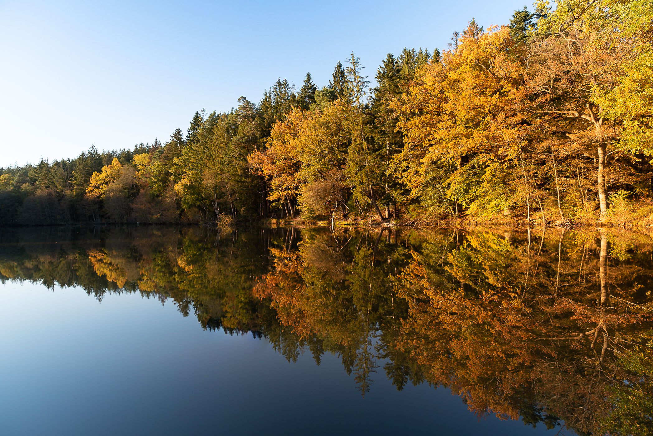 Grießweiher, Germany