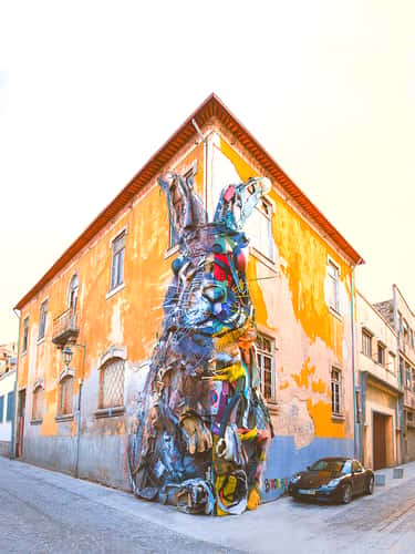 Half Rabbit, Porto