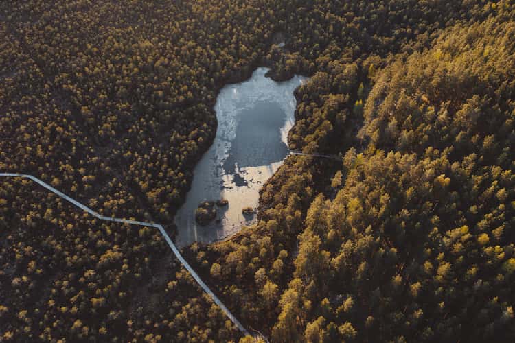 Kamarusjärv lake
