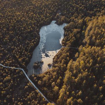Kamarusjärv lake [drone], Estonia