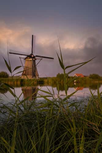 Kinderdijk