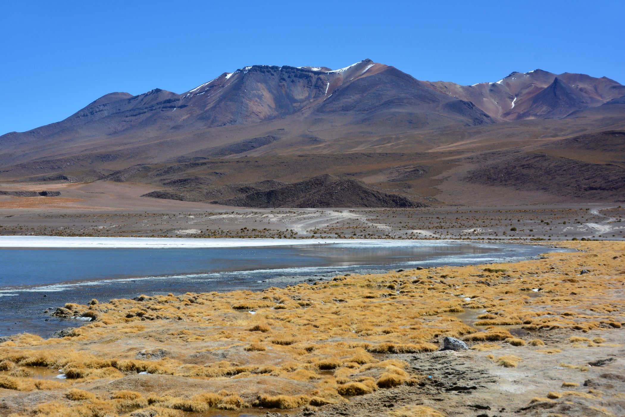 Laguna Canapa, Bolivia