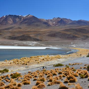 Laguna Canapa, Bolivia