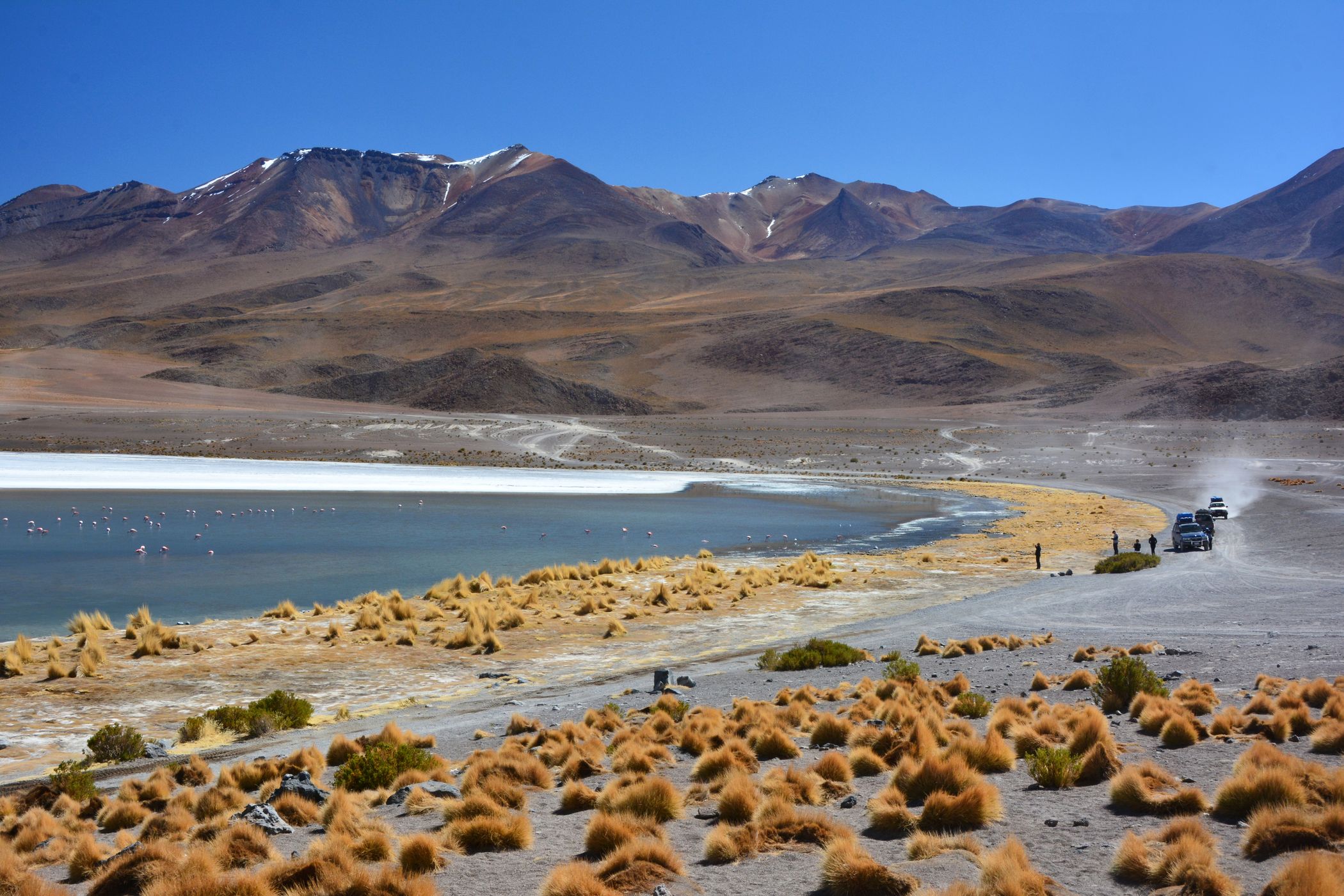 Laguna Canapa, Bolivia